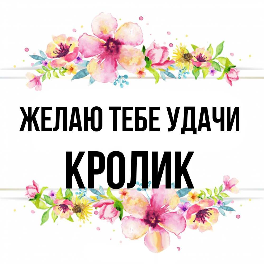 Открытка на каждый день с именем, кролик Желаю тебе удачи пусть повезет 1 Прикольная открытка с пожеланием онлайн скачать бесплатно 