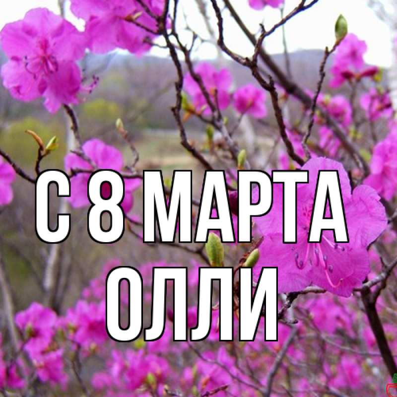 Картинка C 8 МАРТА, Олли