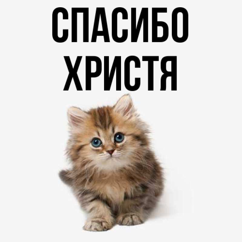 Картинка Спасибо, Христя