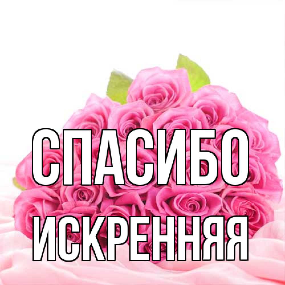 Открытка на каждый день с именем, Искренняя Спасибо розовые розы с подписью Прикольная открытка с пожеланием онлайн скачать бесплатно 