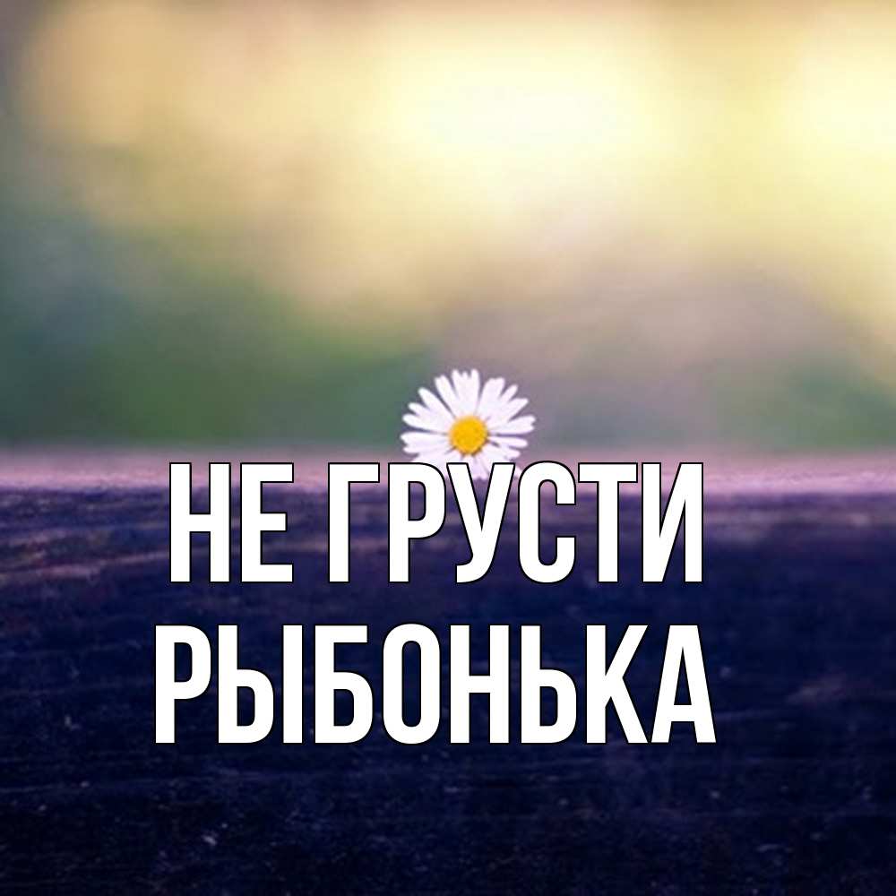 Открытка на каждый день с именем, Рыбонька Не грусти красота Прикольная открытка с пожеланием онлайн скачать бесплатно 