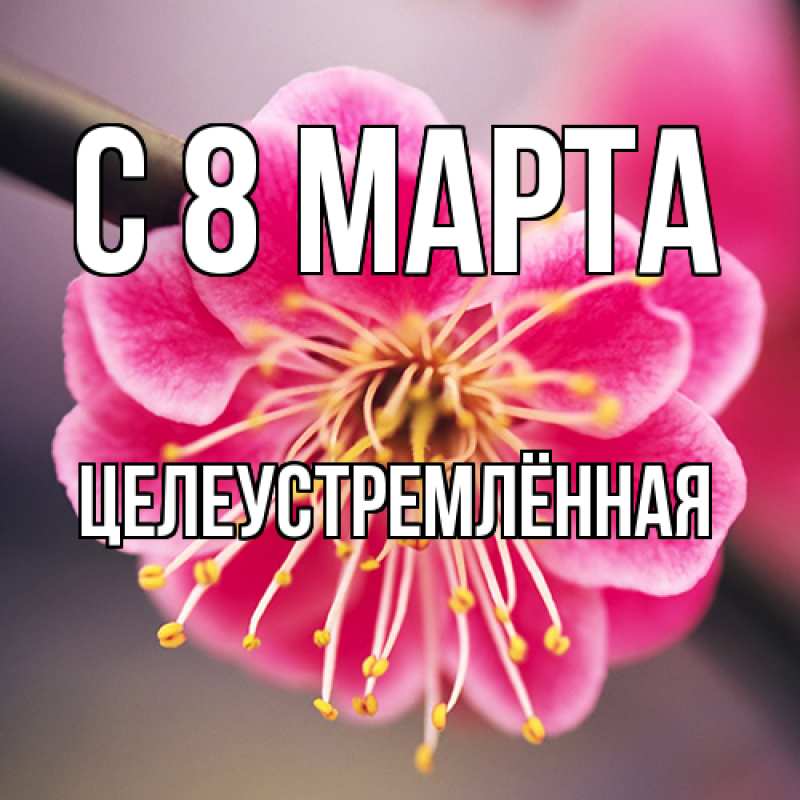 Картинка C 8 МАРТА, Целеустремлённая