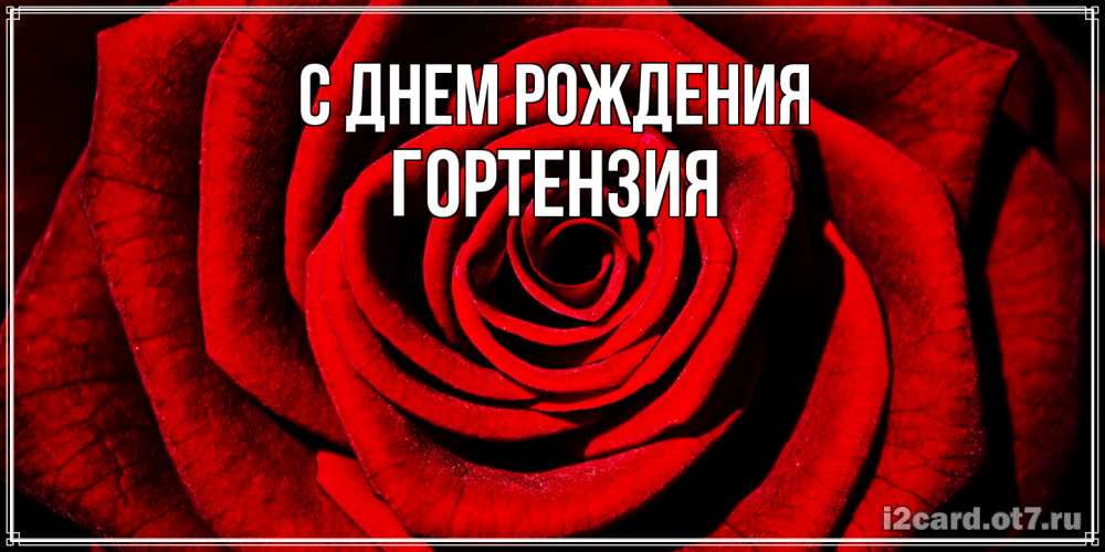 Открытка на каждый день с именем, Гортензия С днем рождения алая роза Прикольная открытка с пожеланием онлайн скачать бесплатно 