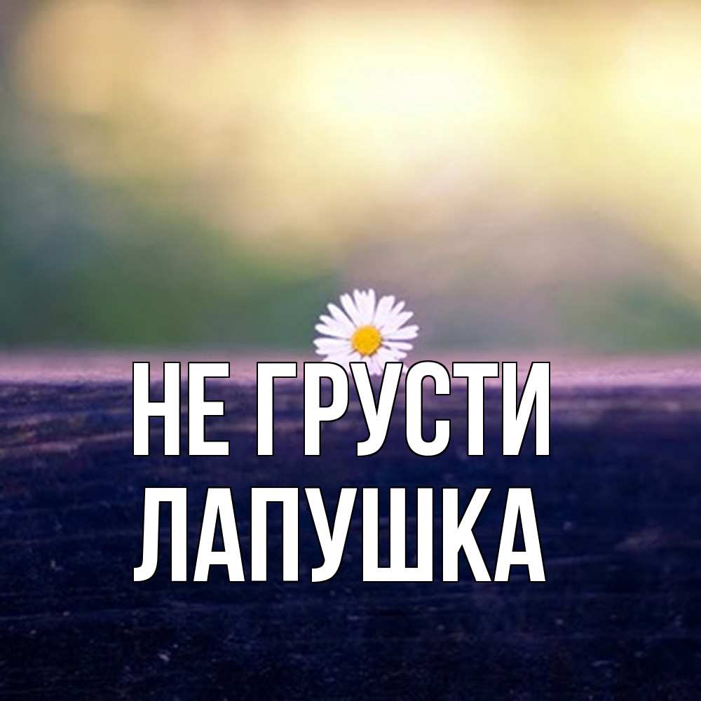 Открытка на каждый день с именем, лапушка Не грусти красота Прикольная открытка с пожеланием онлайн скачать бесплатно 