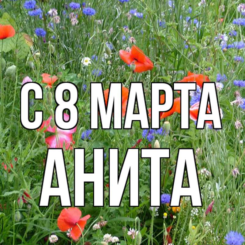 Картинка C 8 МАРТА, Анита