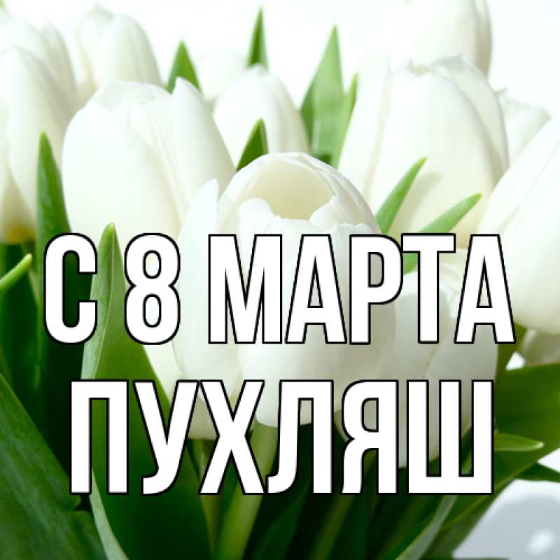 Картинка C 8 МАРТА, пухляш