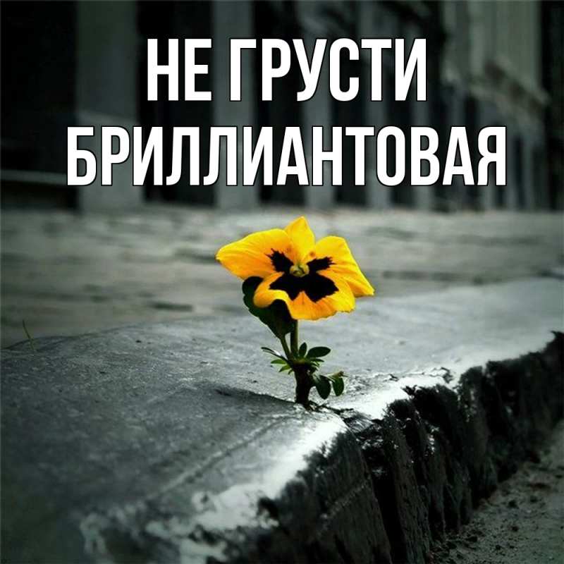Картинка Не грусти, Бриллиантовая