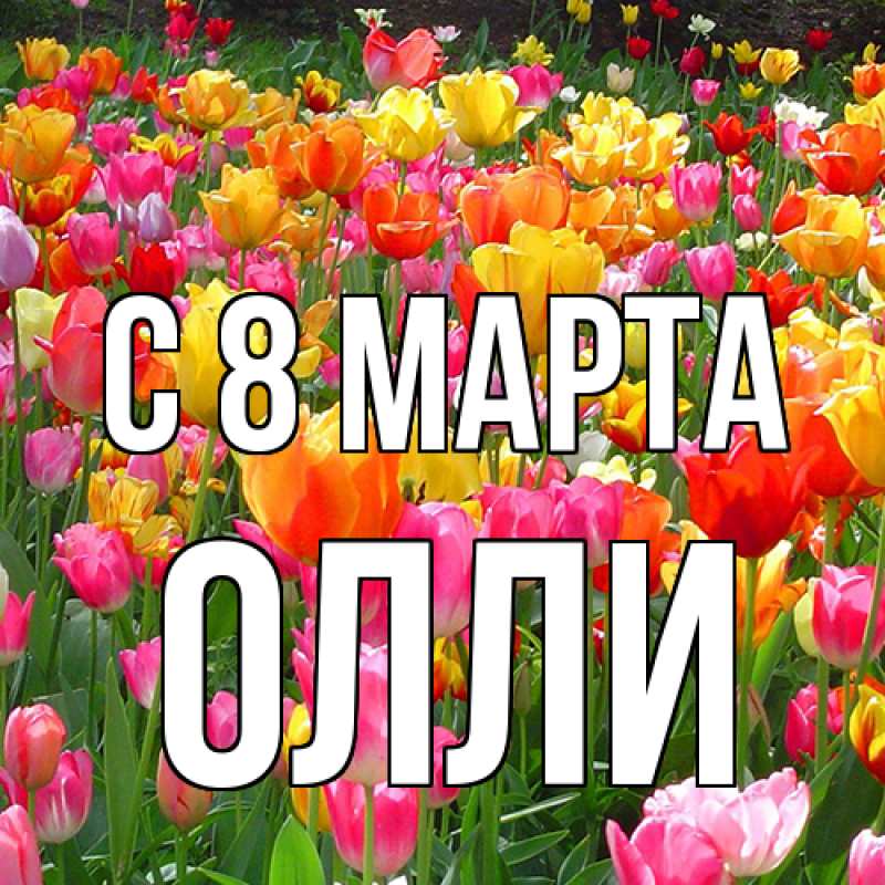 Картинка C 8 МАРТА, Олли