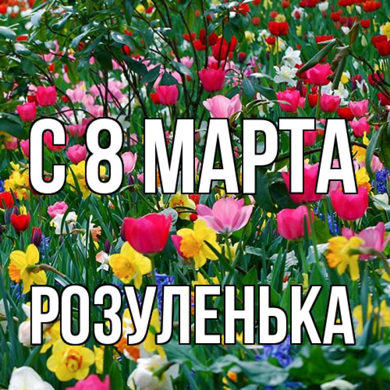Картинка C 8 МАРТА, Розуленька