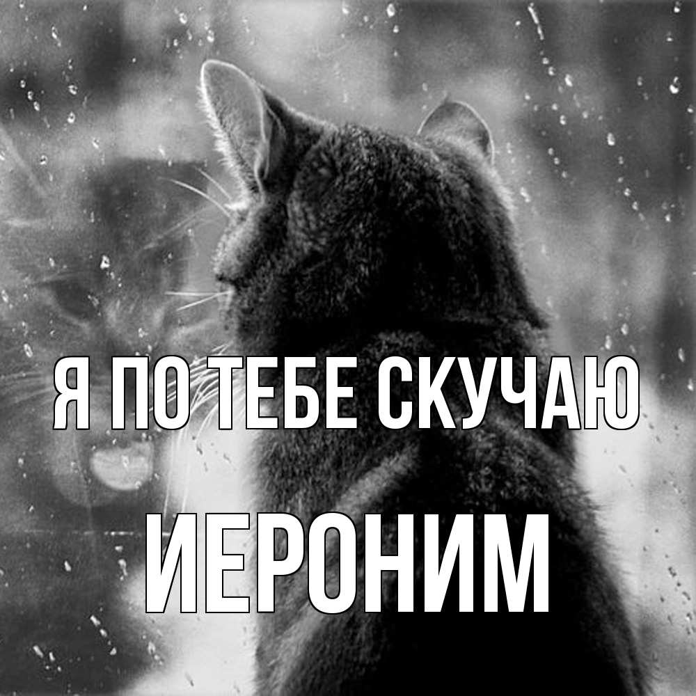 Открытка на каждый день с именем, Иероним Я по тебе скучаю скорее ко мне приходи 1 Прикольная открытка с пожеланием онлайн скачать бесплатно 