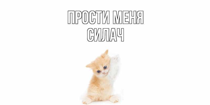 Картинка Прости меня, силач