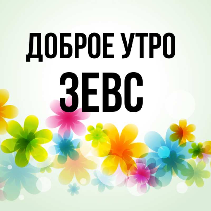 Картинка Доброе утро, Зевс