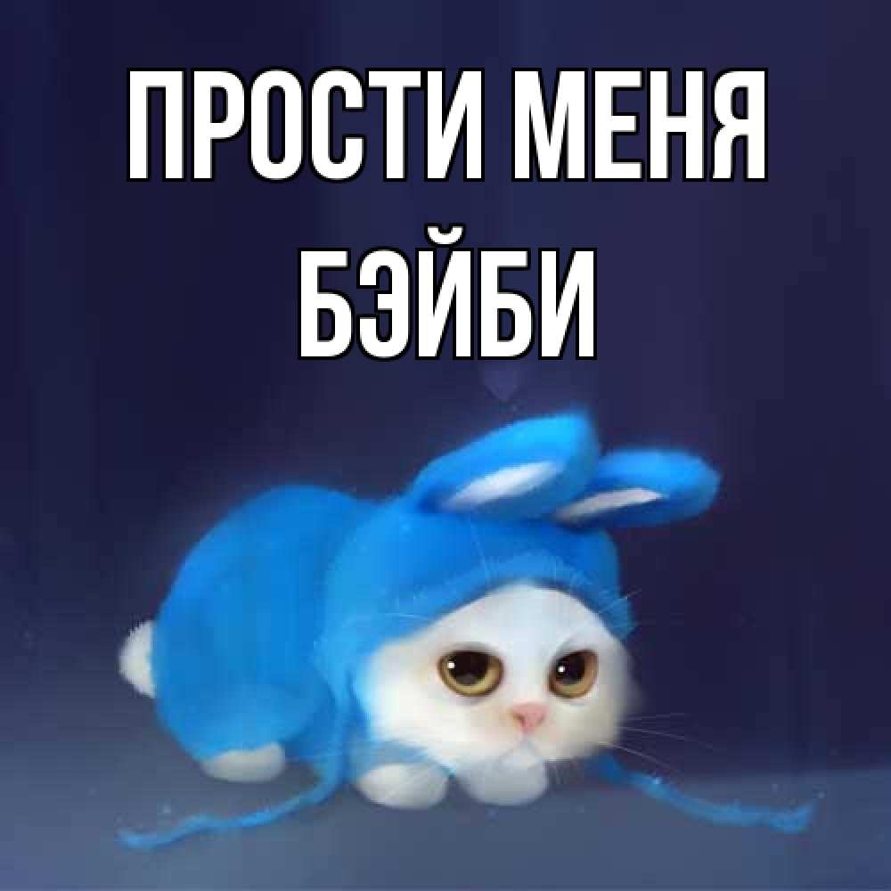 Открытка на каждый день с именем, бэйби Прости меня невинный котозай просит прощения Прикольная открытка с пожеланием онлайн скачать бесплатно 