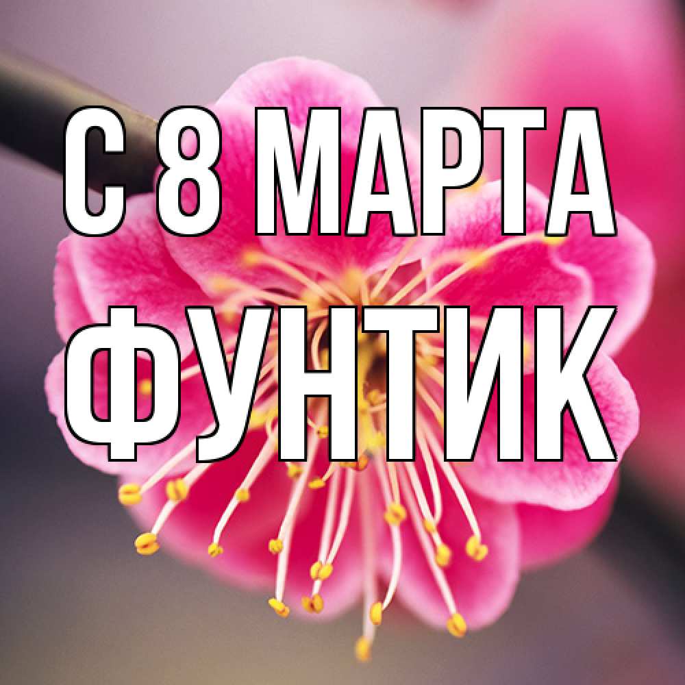 Открытка на каждый день с именем, фунтик C 8 МАРТА цветы Прикольная открытка с пожеланием онлайн скачать бесплатно 