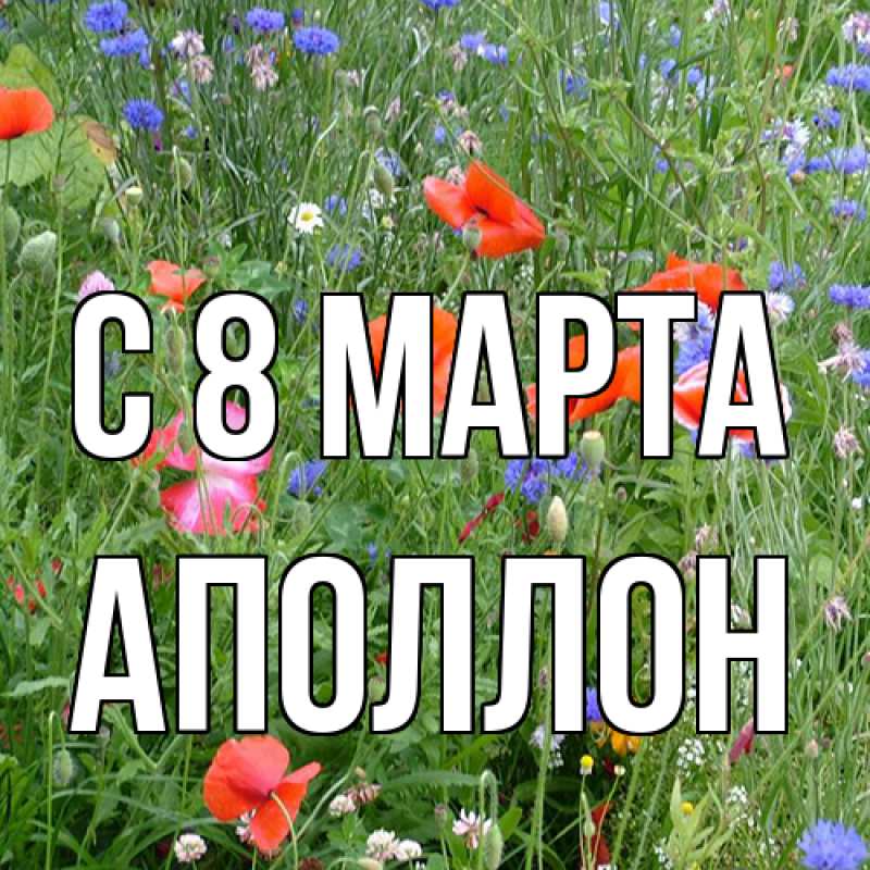 Картинка C 8 МАРТА, Аполлон