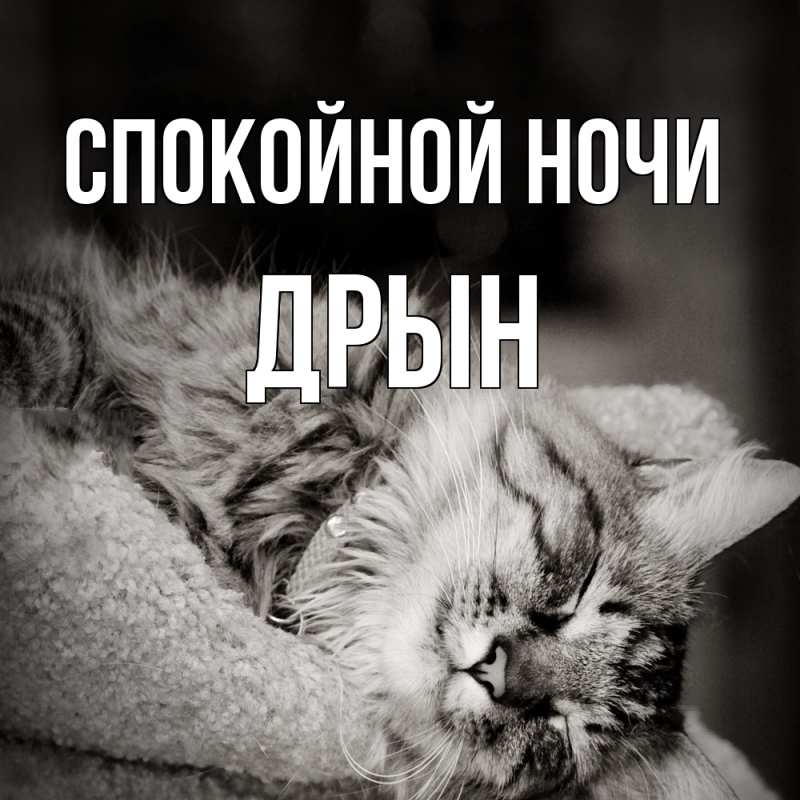 Картинка Спокойной ночи, Дрын