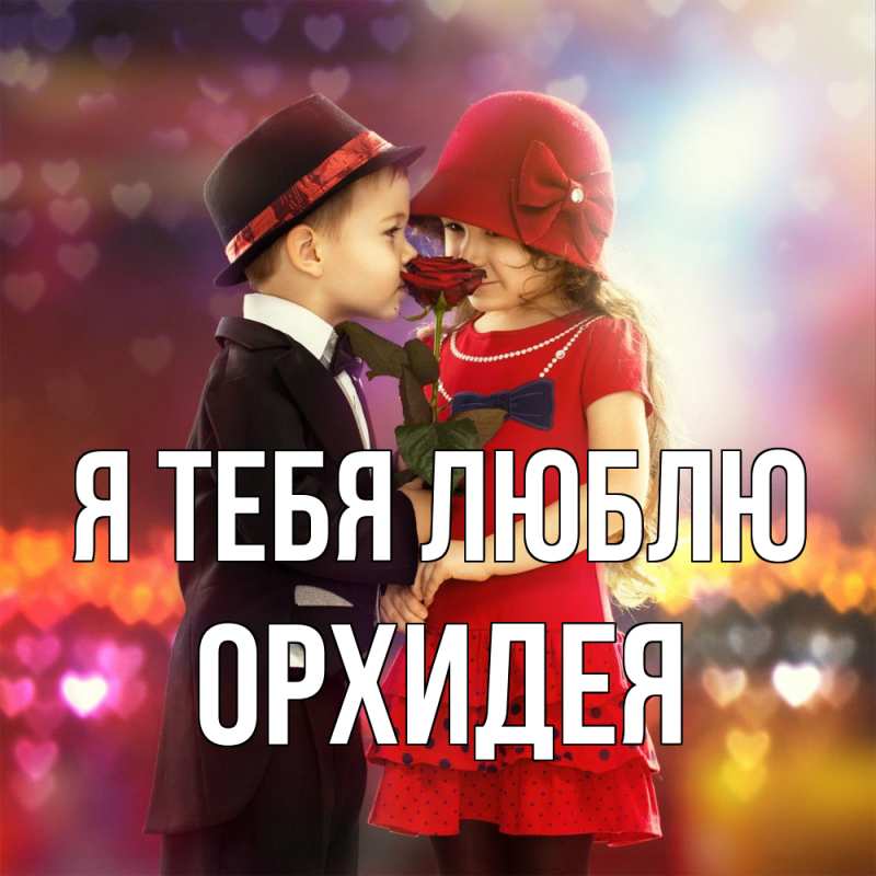 Картинка Я тебя люблю, Орхидея