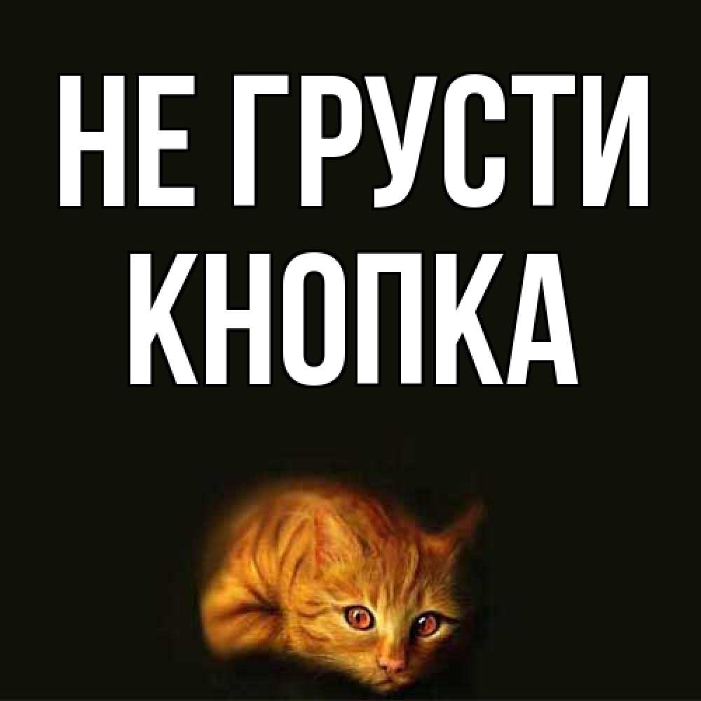 Открытка на каждый день с именем, Кнопка Не грусти лежащий кот в темноте Прикольная открытка с пожеланием онлайн скачать бесплатно 