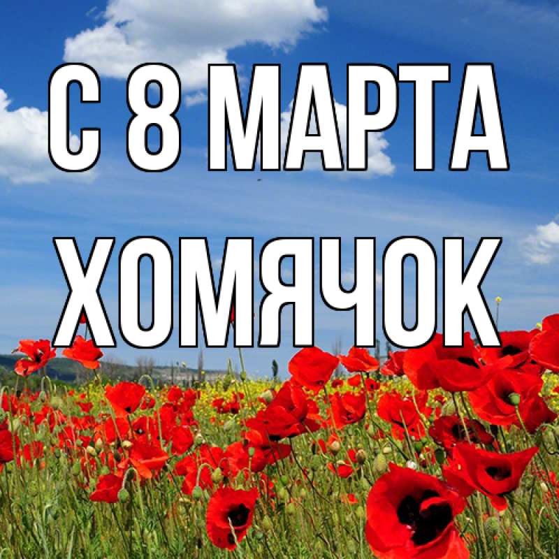 Картинка C 8 МАРТА, Хомячок