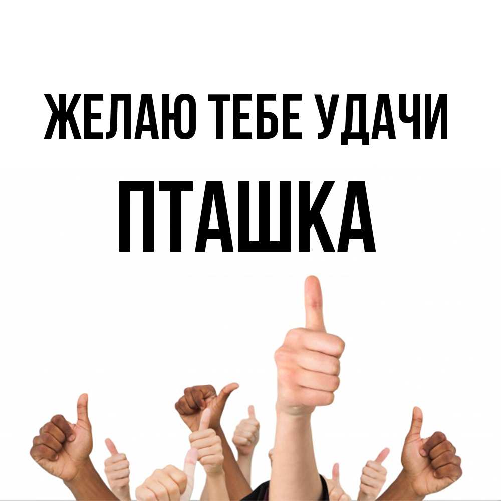 Открытка на каждый день с именем, пташка Желаю тебе удачи молодцом Прикольная открытка с пожеланием онлайн скачать бесплатно 