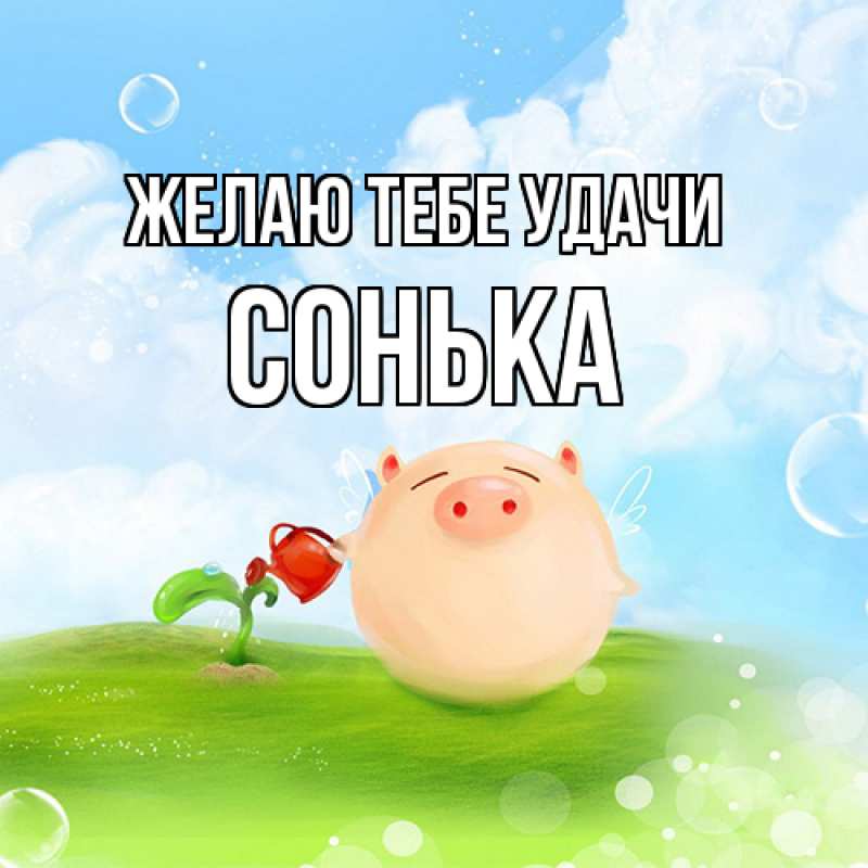 Картинка Желаю тебе удачи, Сонька