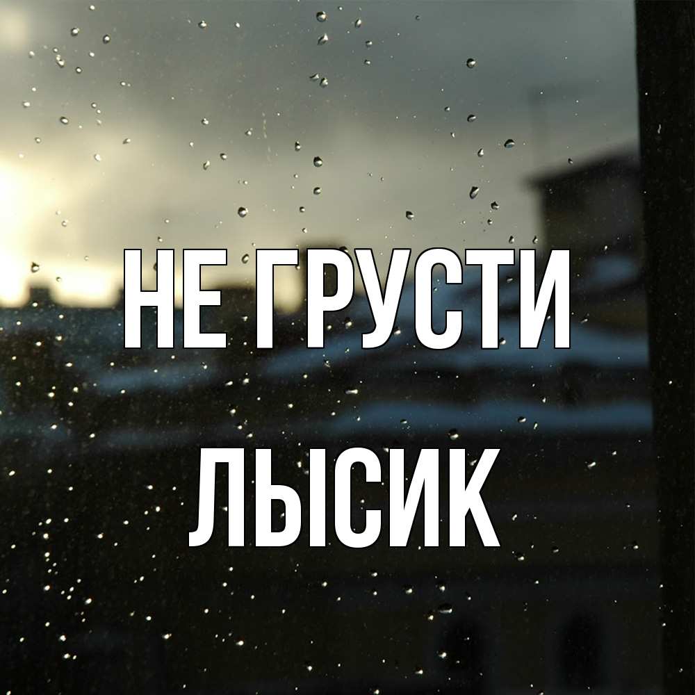 Открытка на каждый день с именем, Лысик Не грусти вид на крыши Прикольная открытка с пожеланием онлайн скачать бесплатно 