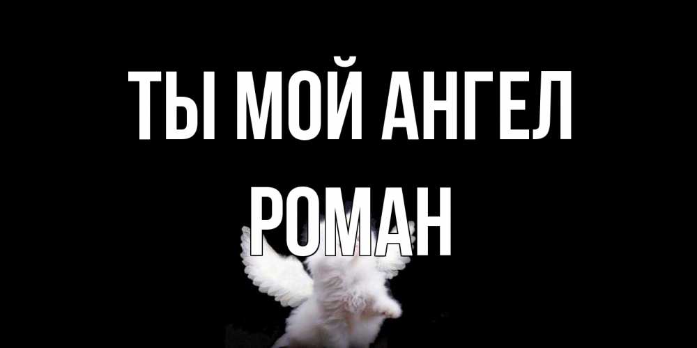 Открытка на каждый день с именем, Роман Ты мой ангел Кот ангел Прикольная открытка с пожеланием онлайн скачать бесплатно 