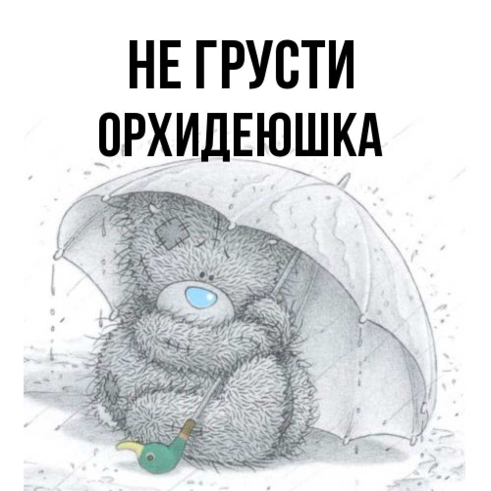Открытка на каждый день с именем, Орхидеюшка Не грусти спасите мишку Тедди Прикольная открытка с пожеланием онлайн скачать бесплатно 