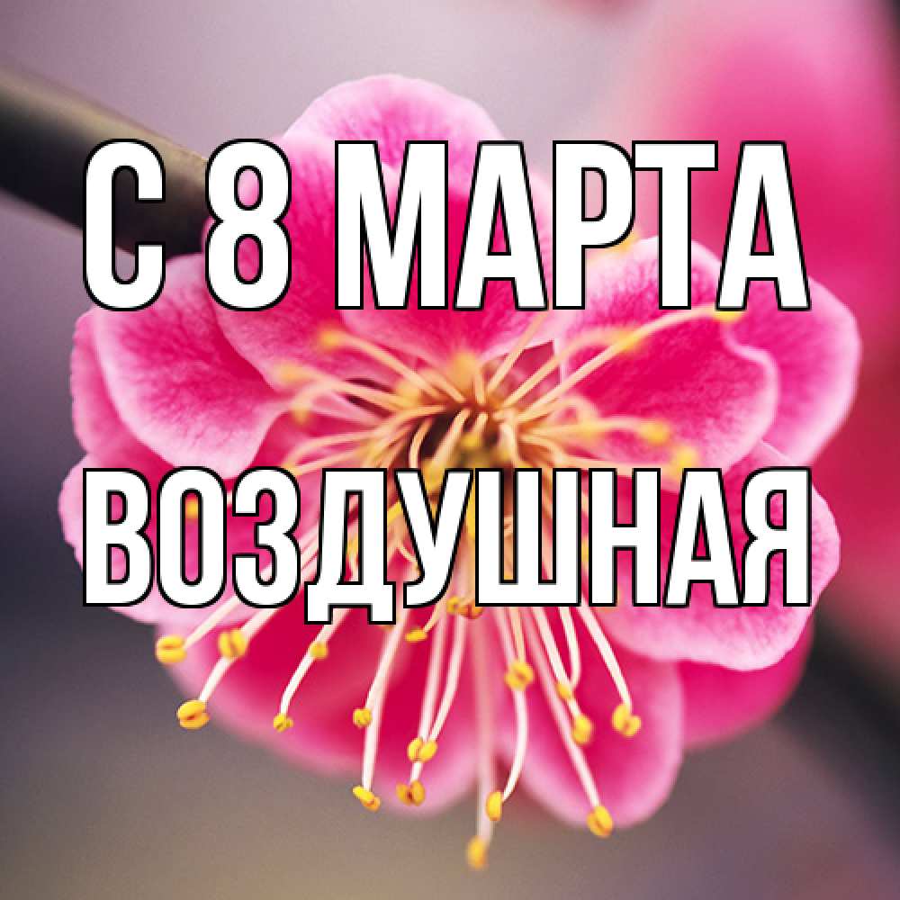 Открытка на каждый день с именем, воздушная C 8 МАРТА цветы Прикольная открытка с пожеланием онлайн скачать бесплатно 