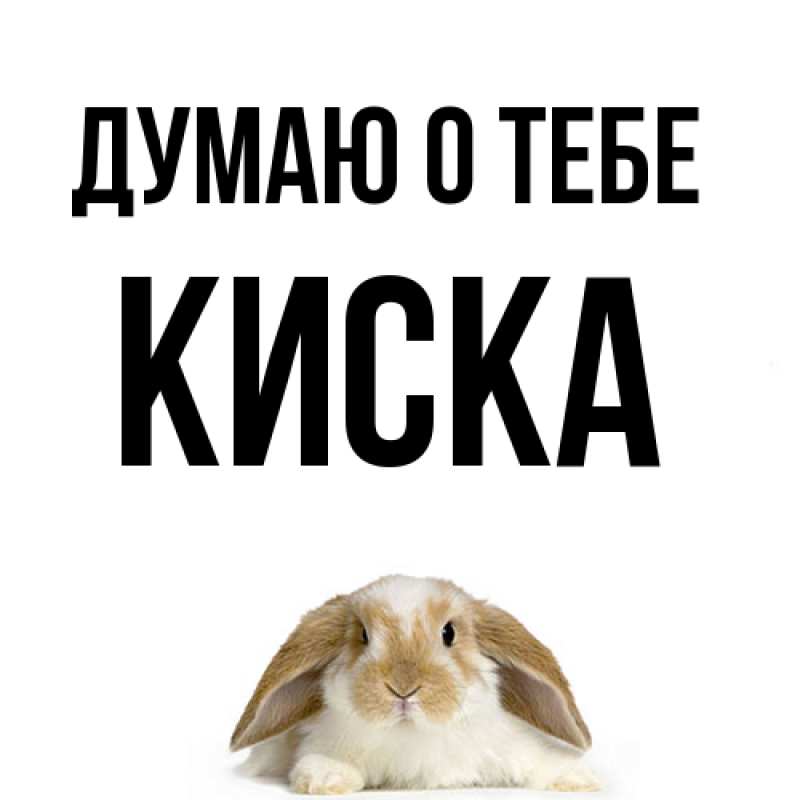 Картинка Думаю о тебе, Киска