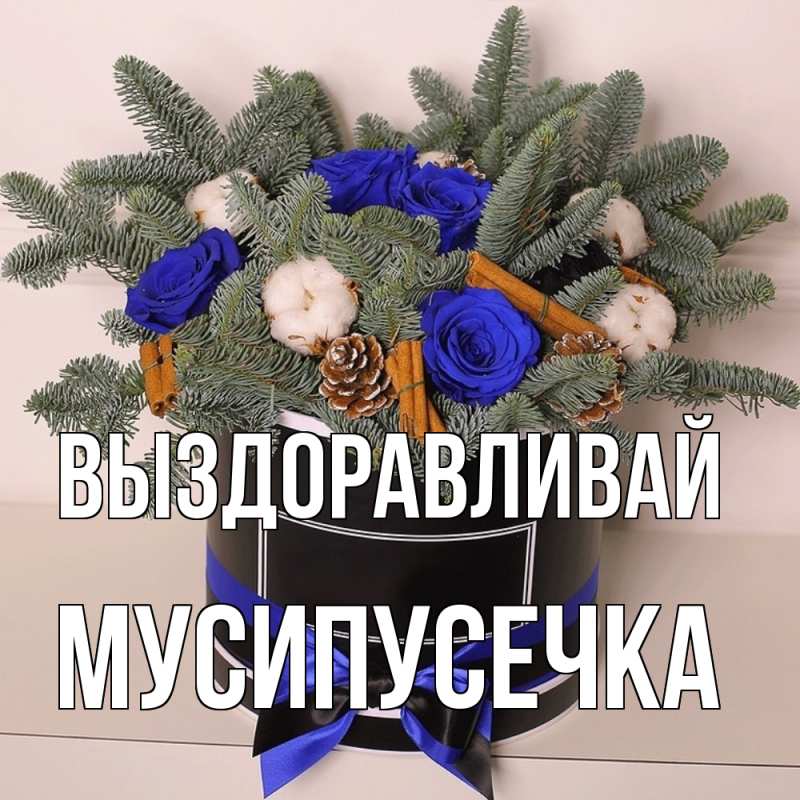 Картинка Выздоравливай, Мусипусечка