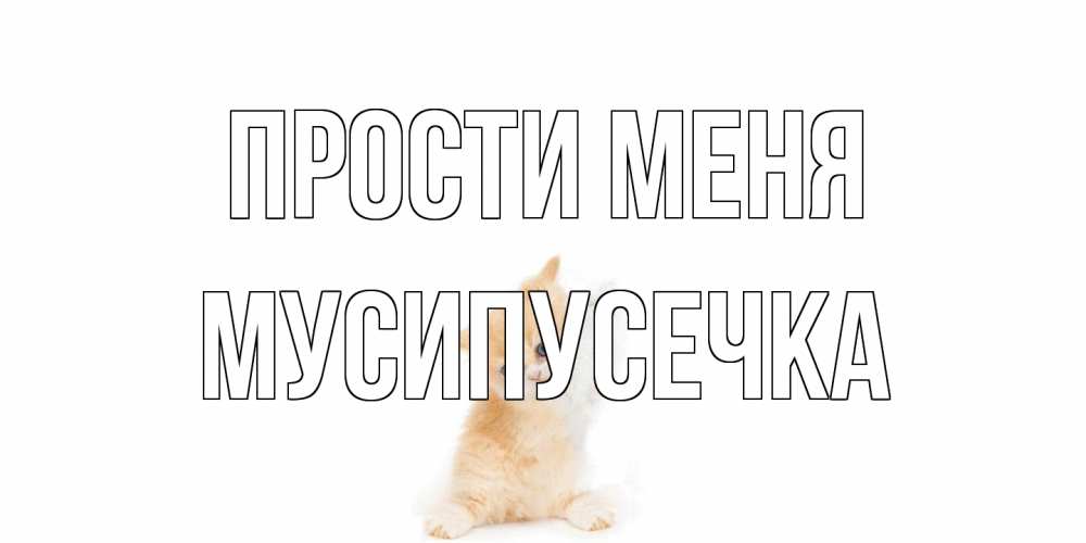 Открытка на каждый день с именем, Мусипусечка Прости меня кот Прикольная открытка с пожеланием онлайн скачать бесплатно 