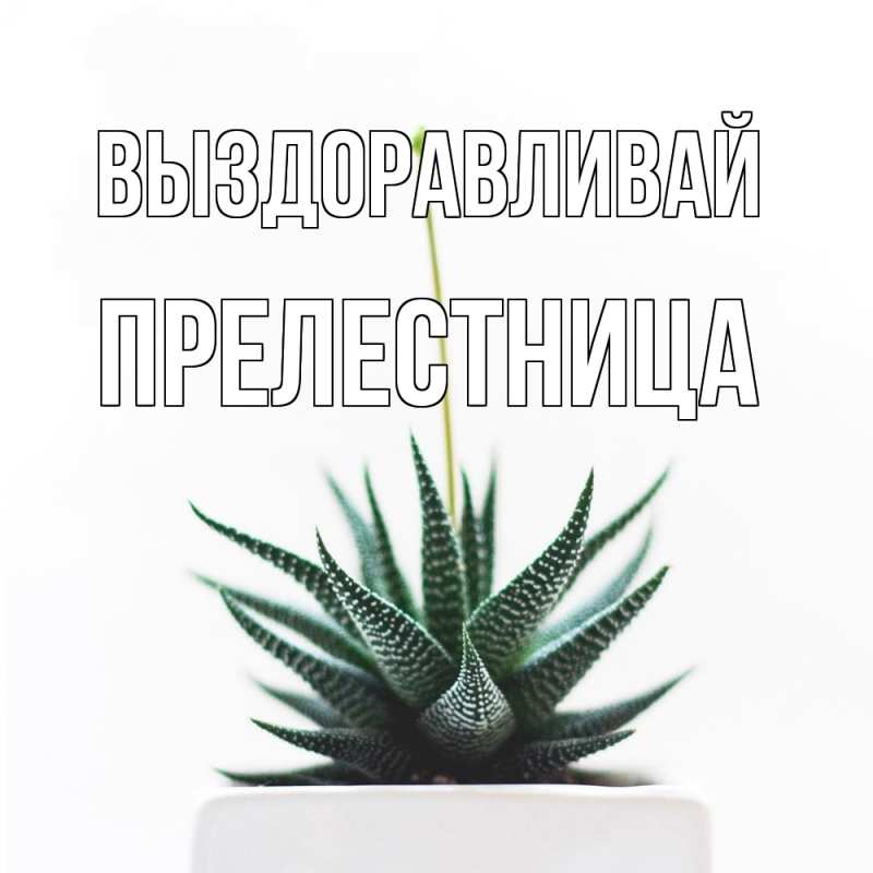 Картинка Выздоравливай, Прелестница