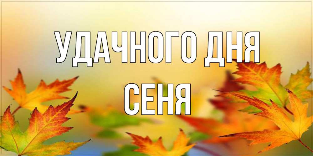 Открытка на каждый день с именем, Сеня Удачного дня открытка с пожеланием хорошего осеннего дня Прикольная открытка с пожеланием онлайн скачать бесплатно 