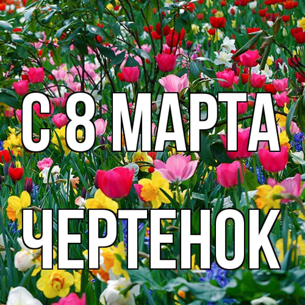 Открытка на каждый день с именем, чеpтенок C 8 МАРТА с международным женским днем поздравления для женщины Прикольная открытка с пожеланием онлайн скачать бесплатно 