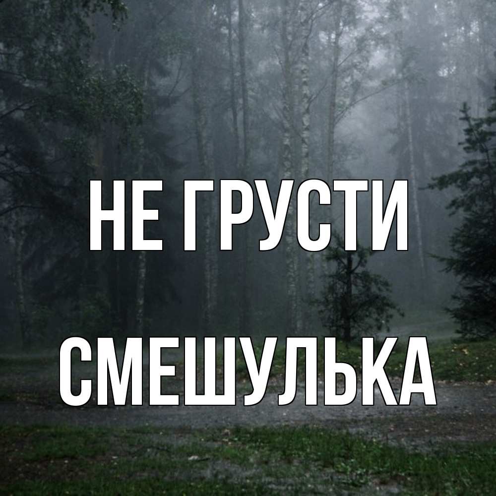 Открытка на каждый день с именем, Смешулька Не грусти осень Прикольная открытка с пожеланием онлайн скачать бесплатно 