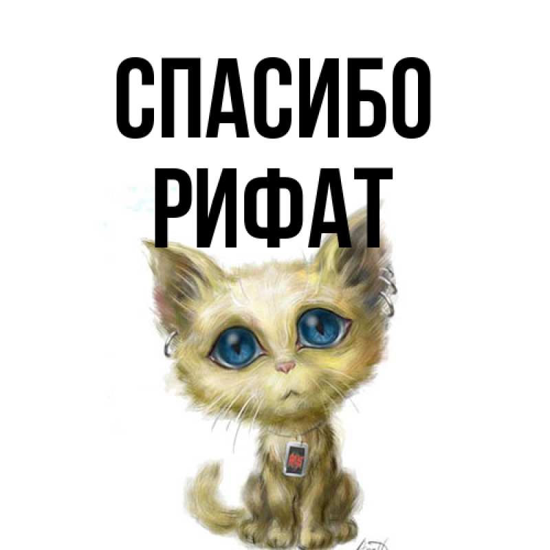 Картинка Спасибо, Рифат