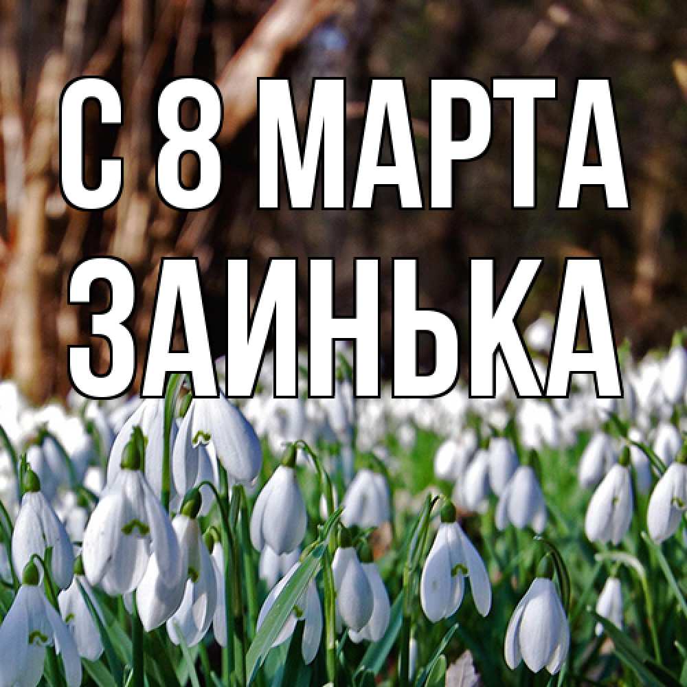 Открытка на каждый день с именем, Заинька C 8 МАРТА с подснежниками 1 Прикольная открытка с пожеланием онлайн скачать бесплатно 
