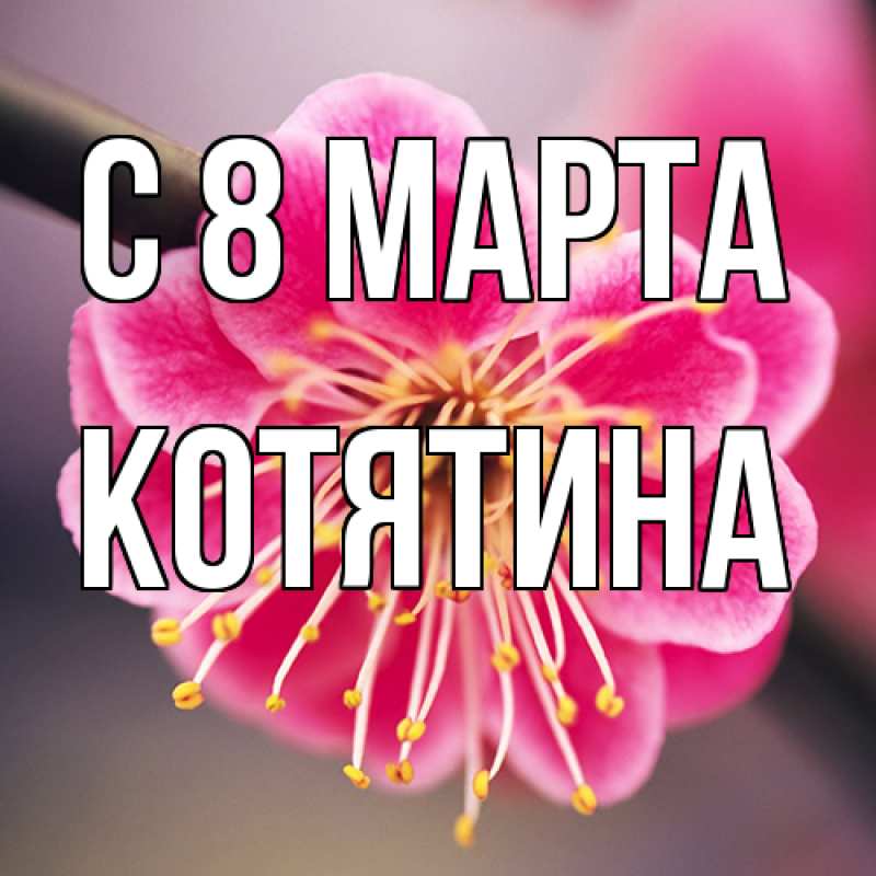 Картинка C 8 МАРТА, Котятина