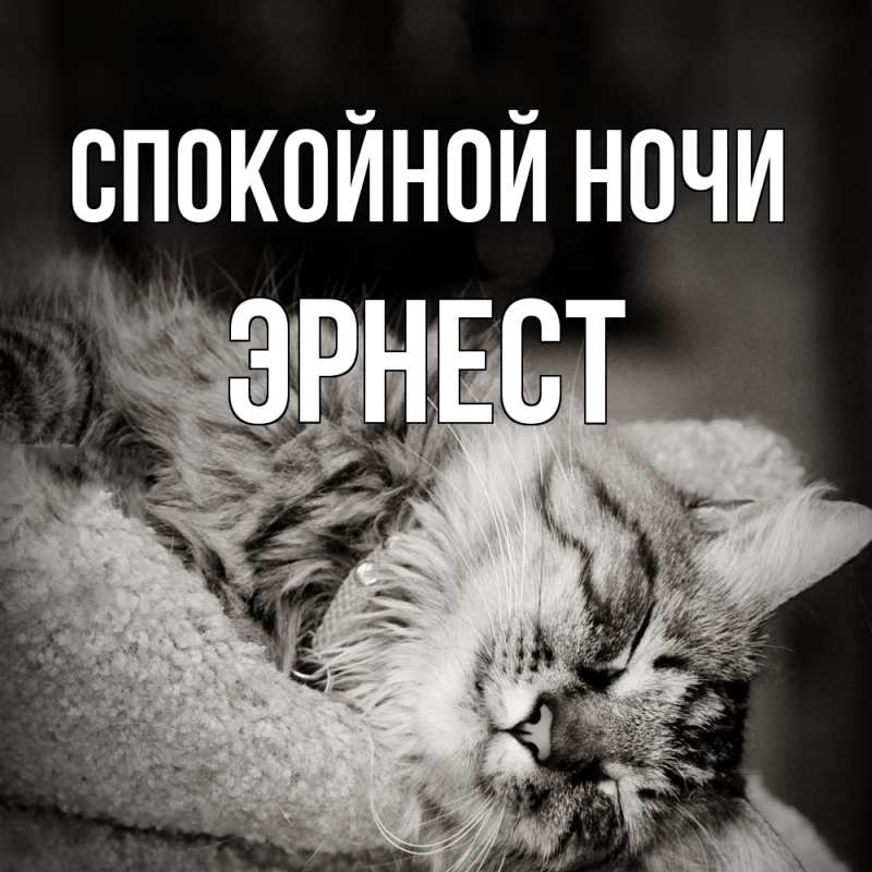 Картинка Спокойной ночи, Эрнест