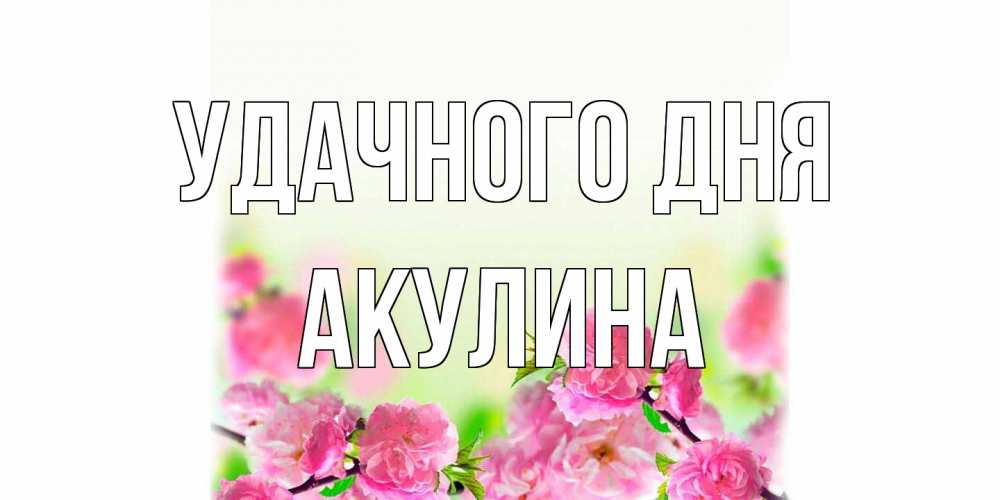 Открытка на каждый день с именем, Акулина Удачного дня цветы Прикольная открытка с пожеланием онлайн скачать бесплатно 