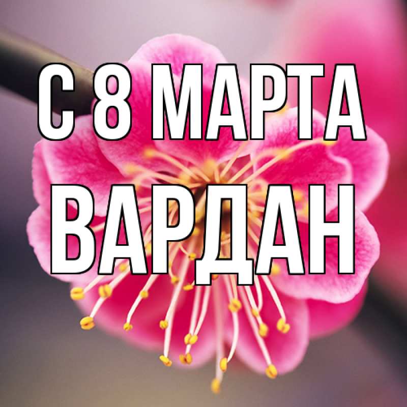 Картинка C 8 МАРТА, Вардан