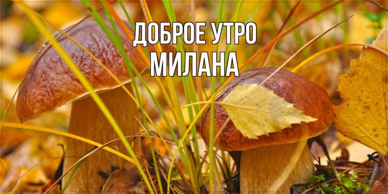Картинка Доброе утро, Милана