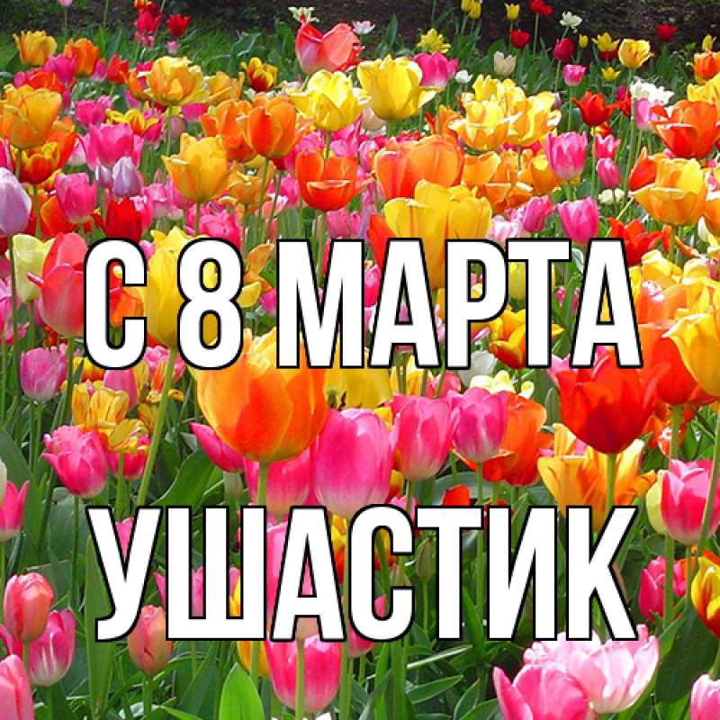 Картинка C 8 МАРТА, Ушастик