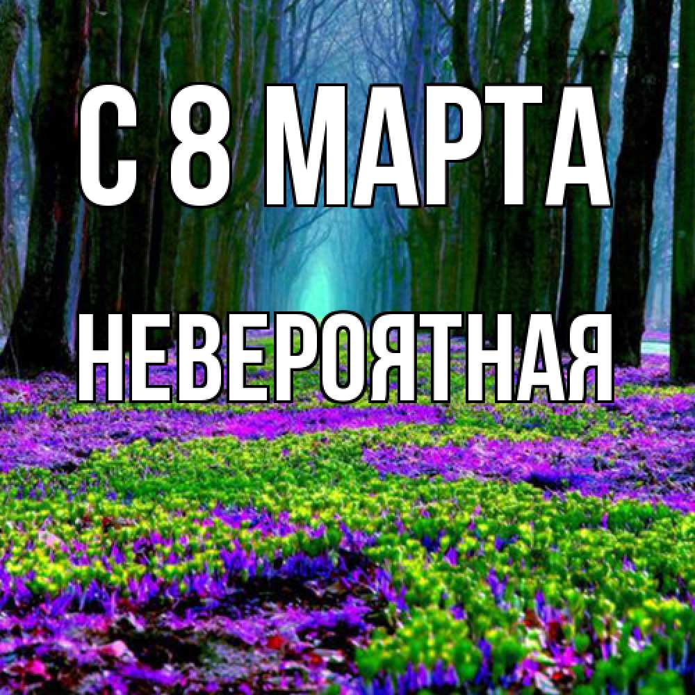 Открытка на каждый день с именем, невероятная C 8 МАРТА фиолетовые цветы в лесу 1 Прикольная открытка с пожеланием онлайн скачать бесплатно 