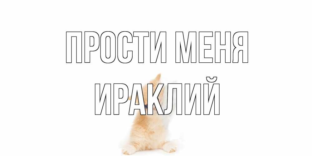 Открытка на каждый день с именем, Ираклий Прости меня кот Прикольная открытка с пожеланием онлайн скачать бесплатно 