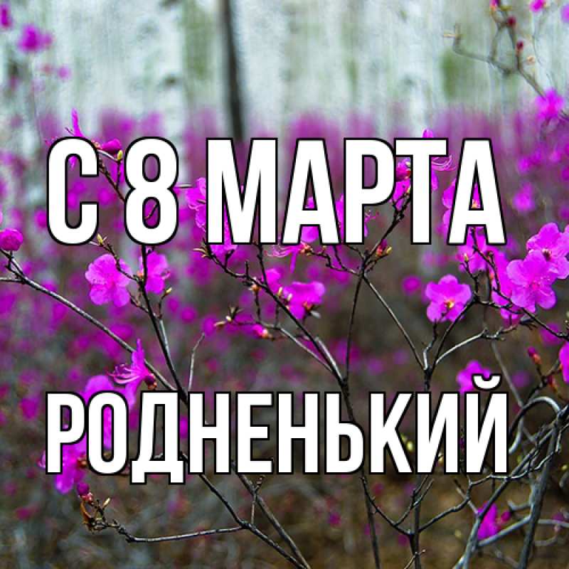 Картинка C 8 МАРТА, Родненький