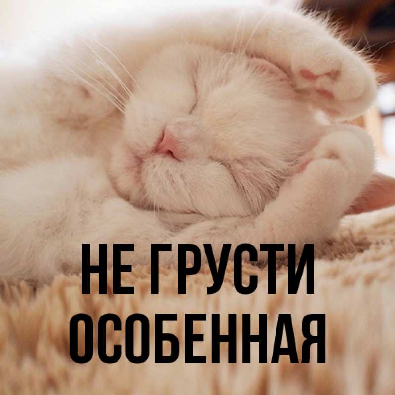 Картинка Не грусти, Особенная