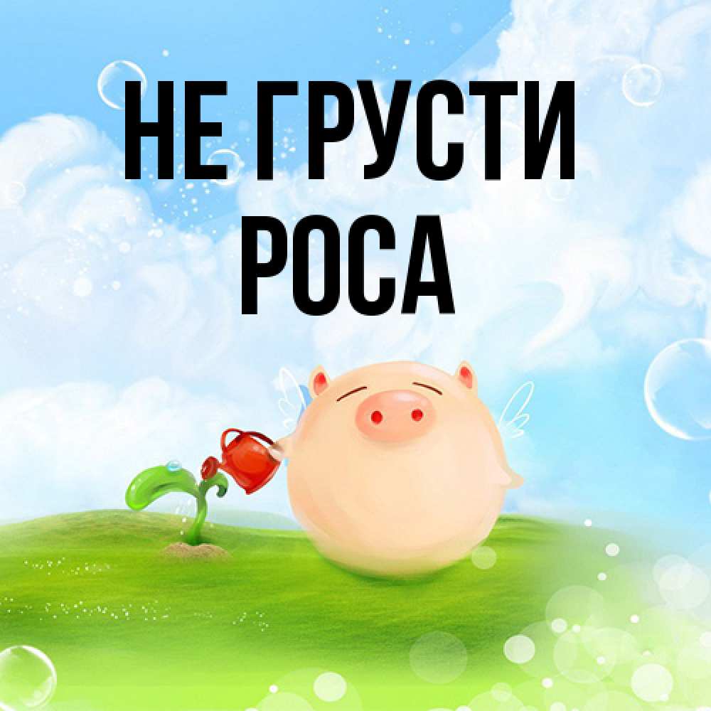 Открытка на каждый день с именем, Роса Не грусти поливает цветок порося Прикольная открытка с пожеланием онлайн скачать бесплатно 