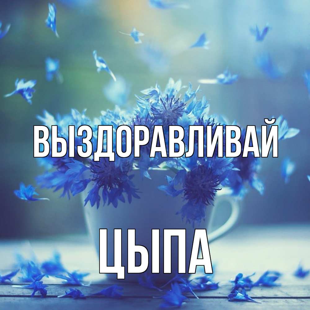 Открытка на каждый день с именем, Цыпа Выздоравливай кружка с зельем и цветами Прикольная открытка с пожеланием онлайн скачать бесплатно 